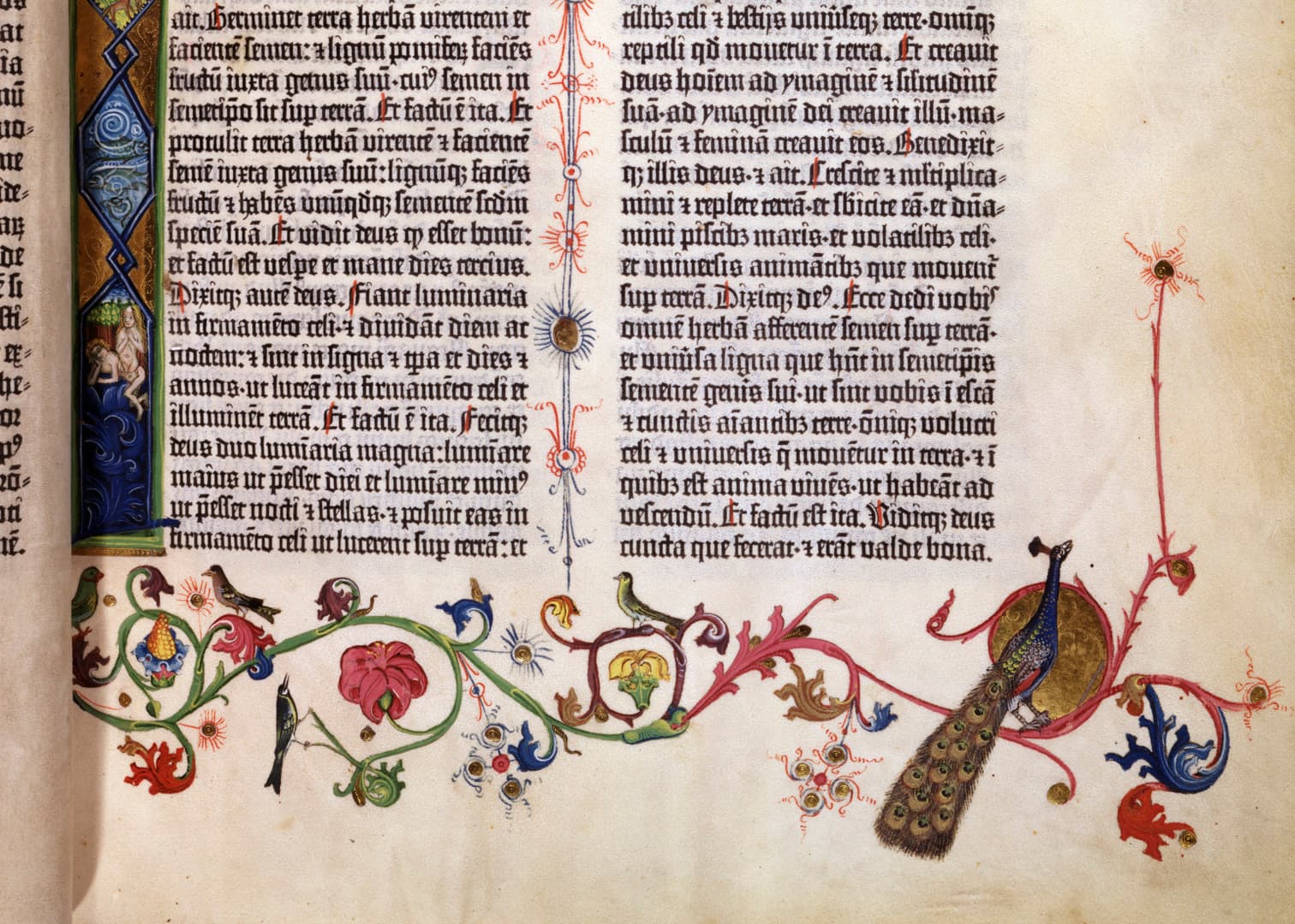 A detailed view of an open book with columns of dense text and colorful illustrations.