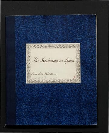 The Irishman in Spain