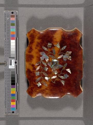 Portrait of a young man [Sproston family?]