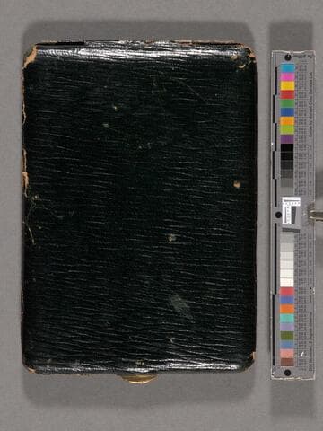 Portrait of a woman sitting in a garden, wearing a hat with feathers [Lathrop family]