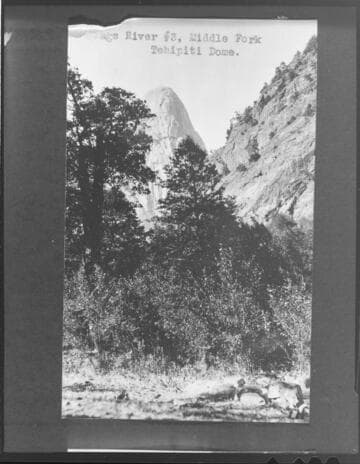 Kings River Project #3