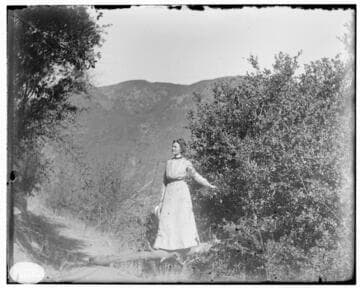 A young woman standing on a large branch between two trees