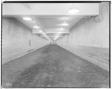 Power Consumers - Hollywood Park - Race Track