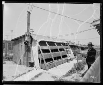 P2 - Poultry - Wild Game Hatchery