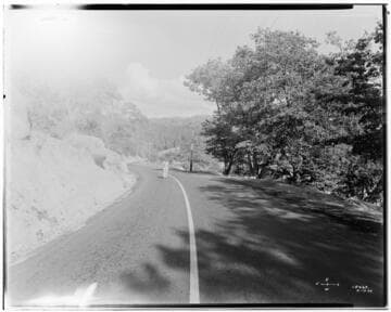 A1.1 Personal Injury-Accident - N. E. Perry