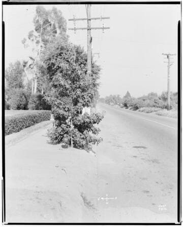 A1.2 - Accidents - Mrs. D. B. Hull accident