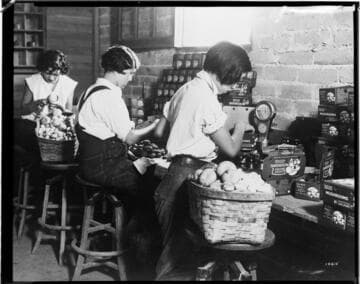 N1 - Nurseries & Soil Heating - Savory Mushroom Farm