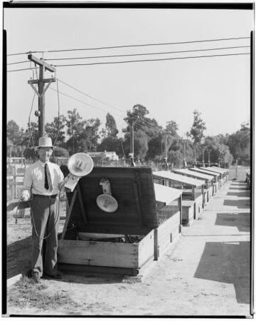 P2 - Poultry - Heating at Hatch Hatchery