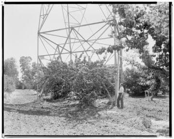 Vincent Transmission Line
