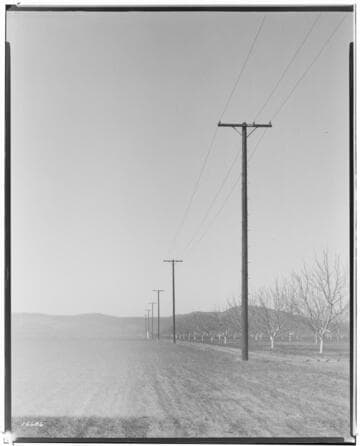 Distribution Lines - 11 kVA lines and services