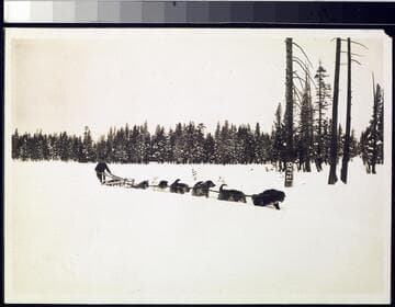 Big Creek Dog Teams - Jerry Dwyer & dog team