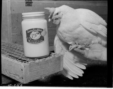 Laura Scudders' Puente ranch