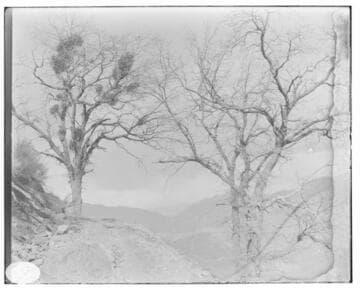 View of the canal line at Mill Creek #2 Hydro Plant or Mill Creek #3 Hydro Plant