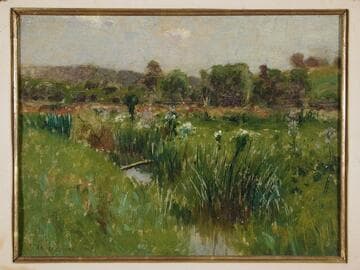 Landscape with Wild Irises