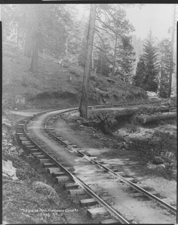 View of S. J. & E. Railroad near Camp 3