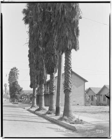 A1.2 - Accidents - Betty McDonald accident