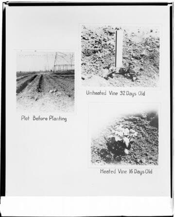 N1 - Nurseries & Soil Heating