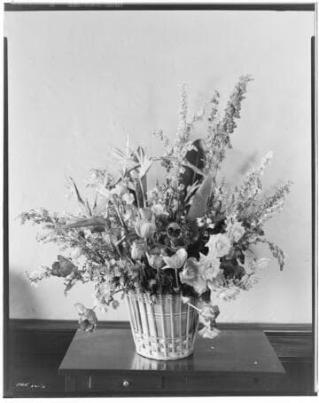 B1.21 - New Edison Building