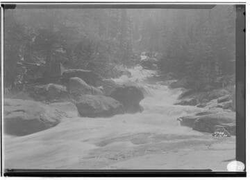 Scene at Pitman Creek