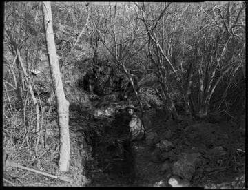 Our abundant water supply