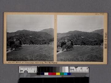 Sunset Blvd. at Temescal Canyon, Pac. Palisades