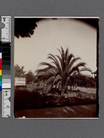 Lot for sale in Pasadena