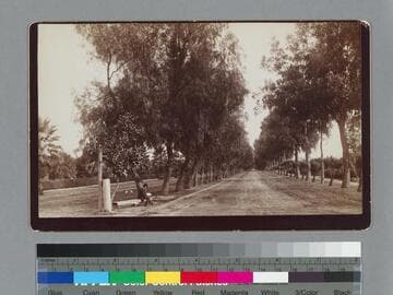 Magnolia Ave., Riverside, Cal