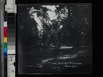 In Santa Monica Canyon