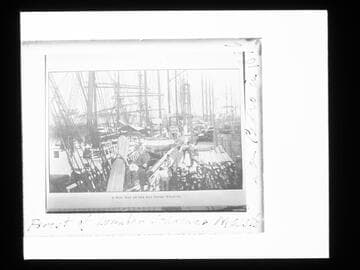 Loading lumber at San Pedro wharf