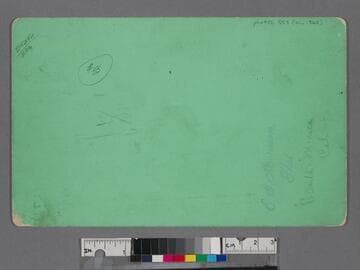 Visitors in front of cottage on the beach, Santa Monica