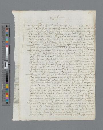 Gonzalo Pizarro letter to "muy magnífico señor"