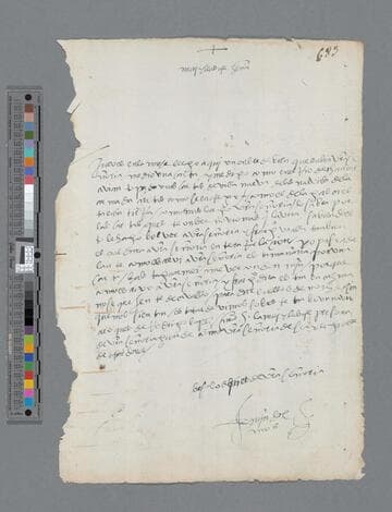 Martín de Olmos letter to Gonzalo Pizarro