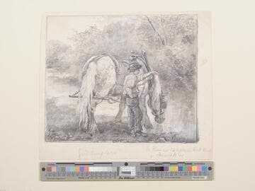 Boy Watering Plough Horse