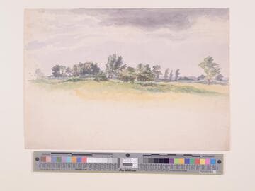 Trees Seen Across Undulating Ground