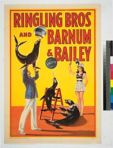 Ringling Bros and Barnum & Bailey