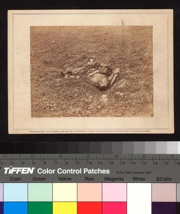Confederate Soldier, Who, after being wounded, had dragged himself to a little ravine on the hill-side, where he died