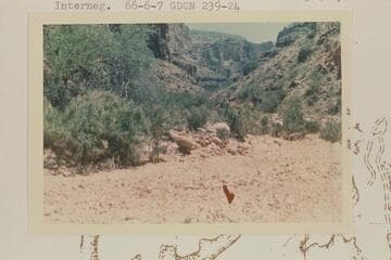 Kaibab rim in distance above east arm of Separation Canyon
