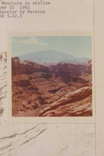Up Nasja Creek to the junction with Bald Rock Creek.  Navajo Mountains on skyline