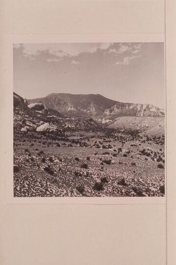 Navajo Mountain across Trail Canyon