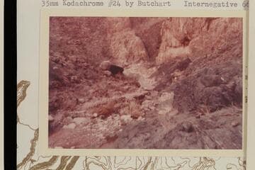 Granite dyke, Robbers Roost Canyon, Diamond Creek