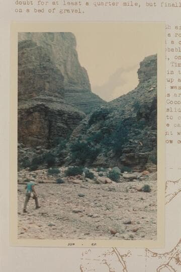 Homer passing the north arm of Separation Canyon