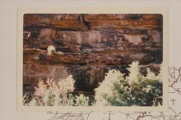 Inscriptions in Nine Mile Creek, left bank
