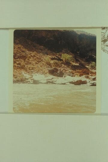 Right bank between Miles 211 and 212.8