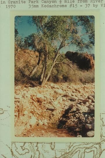 Spring in Granite Park Canyon 1/2 mile from river