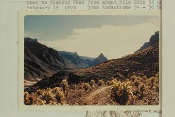 Down to Diamond Peak from about Mile 221.5 right bank on trail