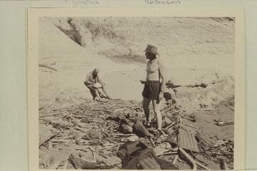 Marston; Robinson.  On beach above Vaseys Paradise