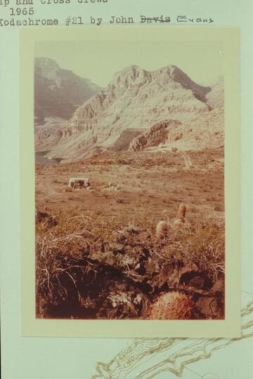 Two camps at head of Whitmore Trail; Belknap and Cross crews