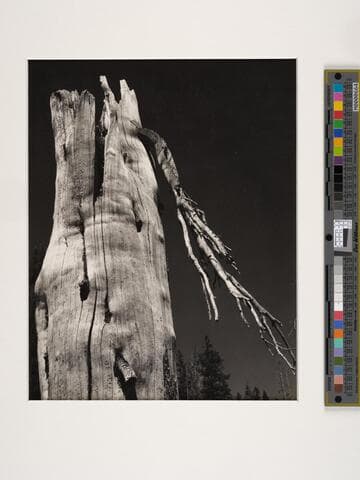 Tenaya Lake, Sierra Nevada