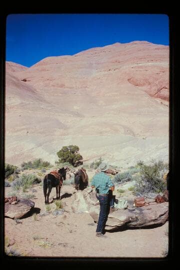 Slope up Sid Whiskers butte from camp