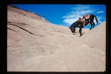 Down into Moepitz Canyon
